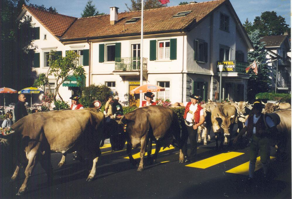 Park Otel Heiden Dış mekan fotoğraf